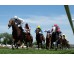  Carrera: P.Nertal Monta: V.Janacek Caballo: Tacarib Bay